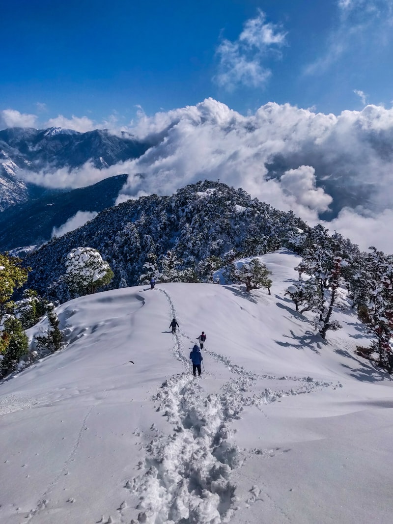 Haridwar to Barkot — Gateway to the Himalayas