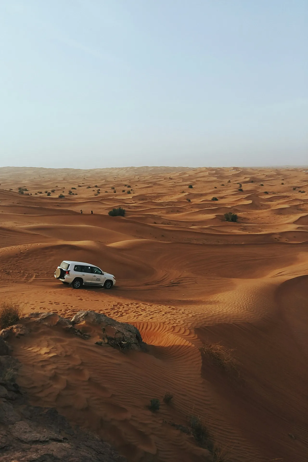 Desert Safari — Dunes, Dune-Bashing & Starlit Dinner