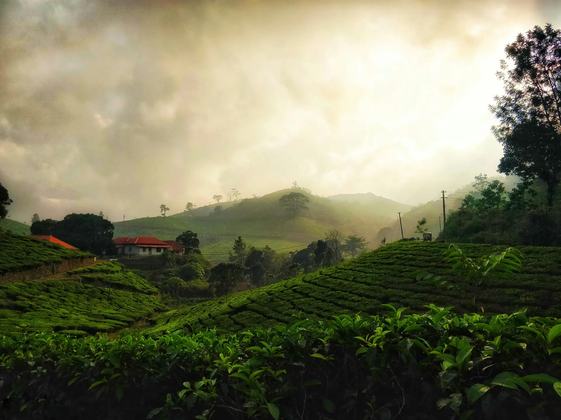 The Backwaters Are Unique in the World