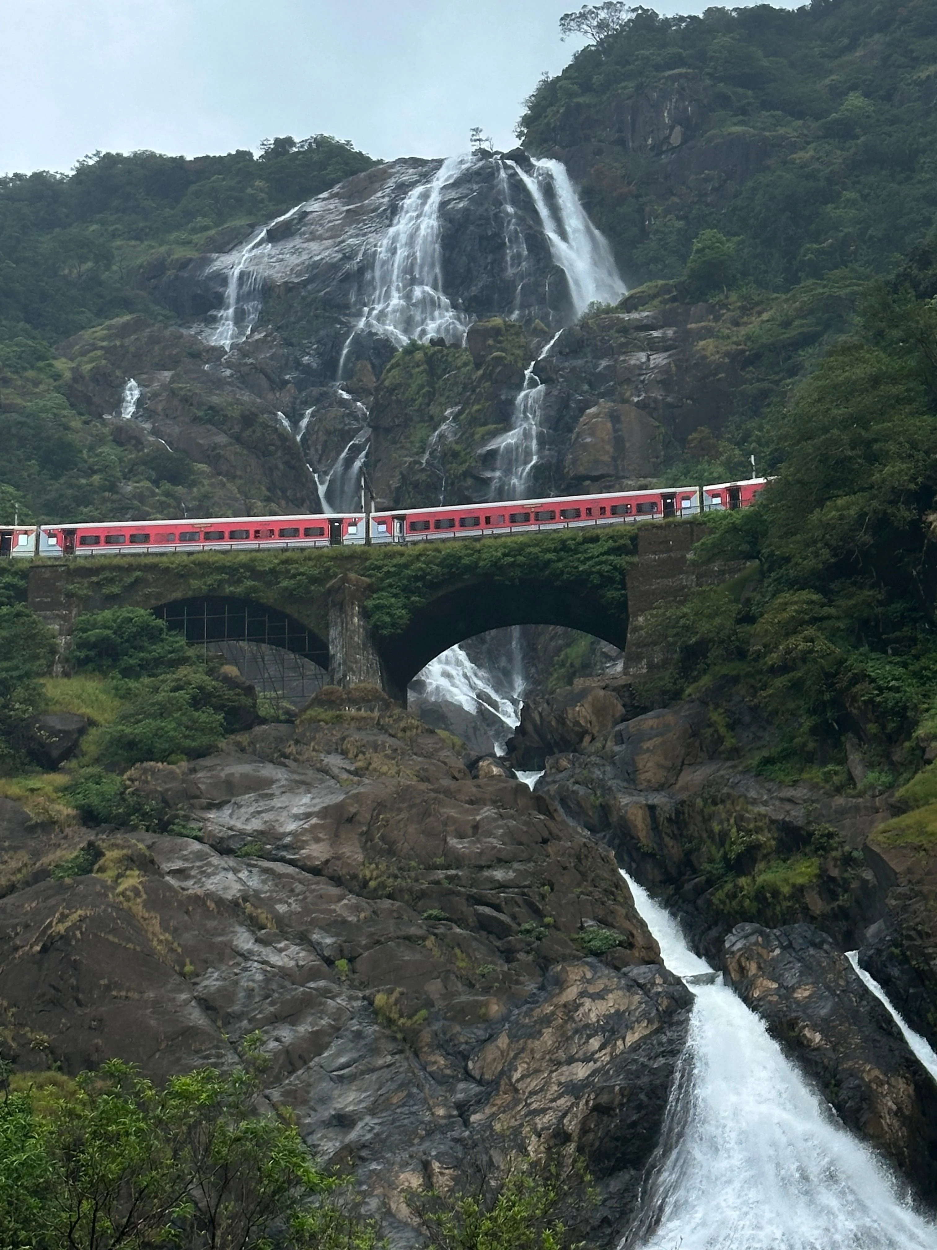 Goa