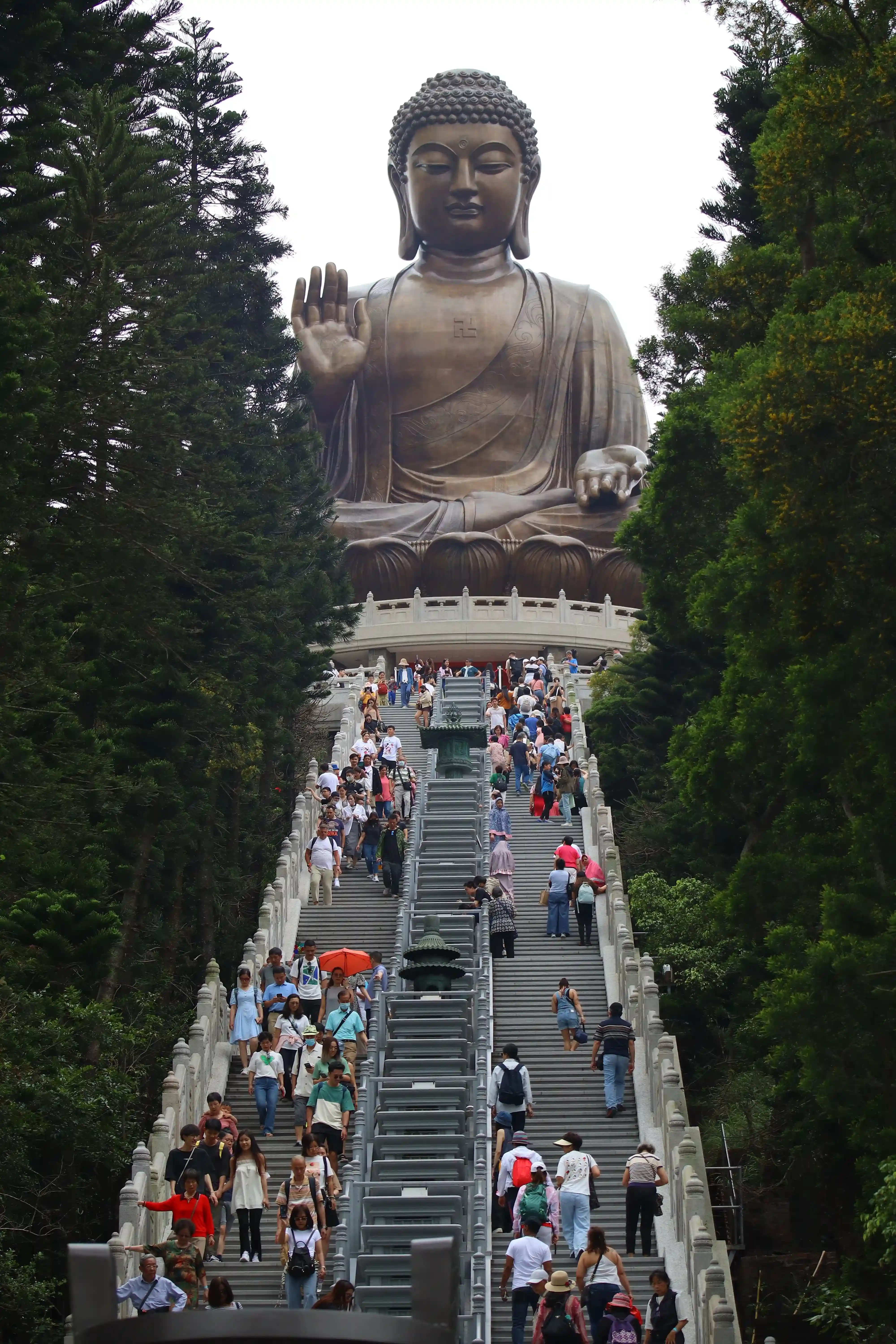 Ngong Ping 360 & Lantau Island