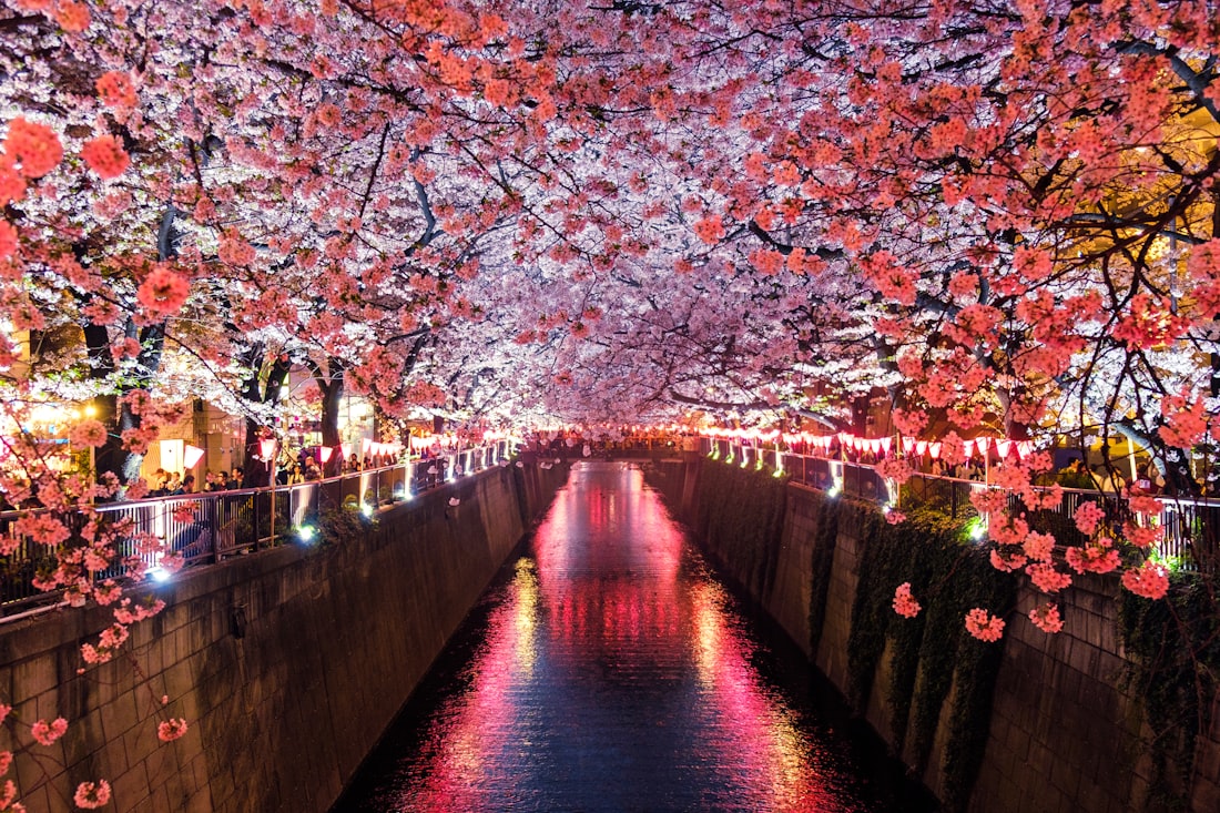 Japan — food and experiences