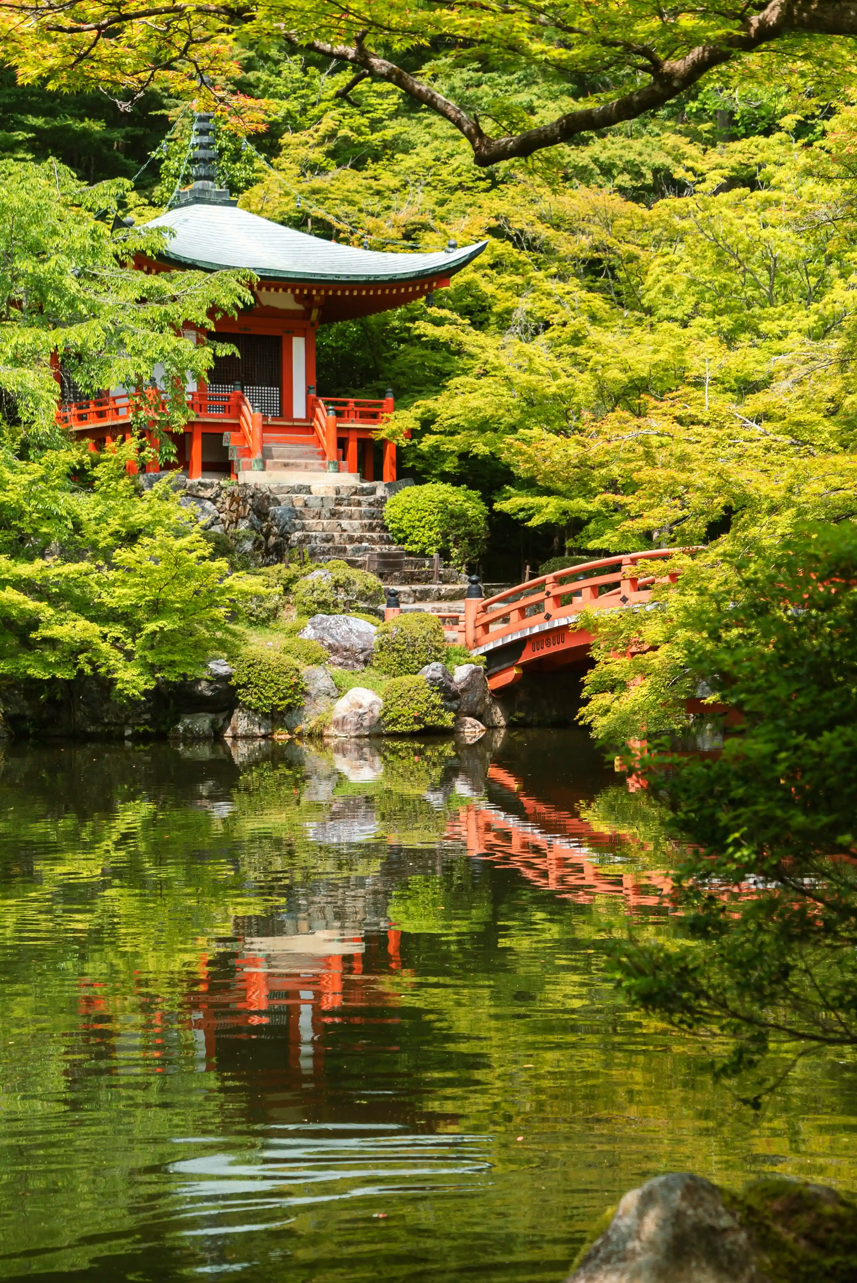 Kyoto & Nara Day Tour