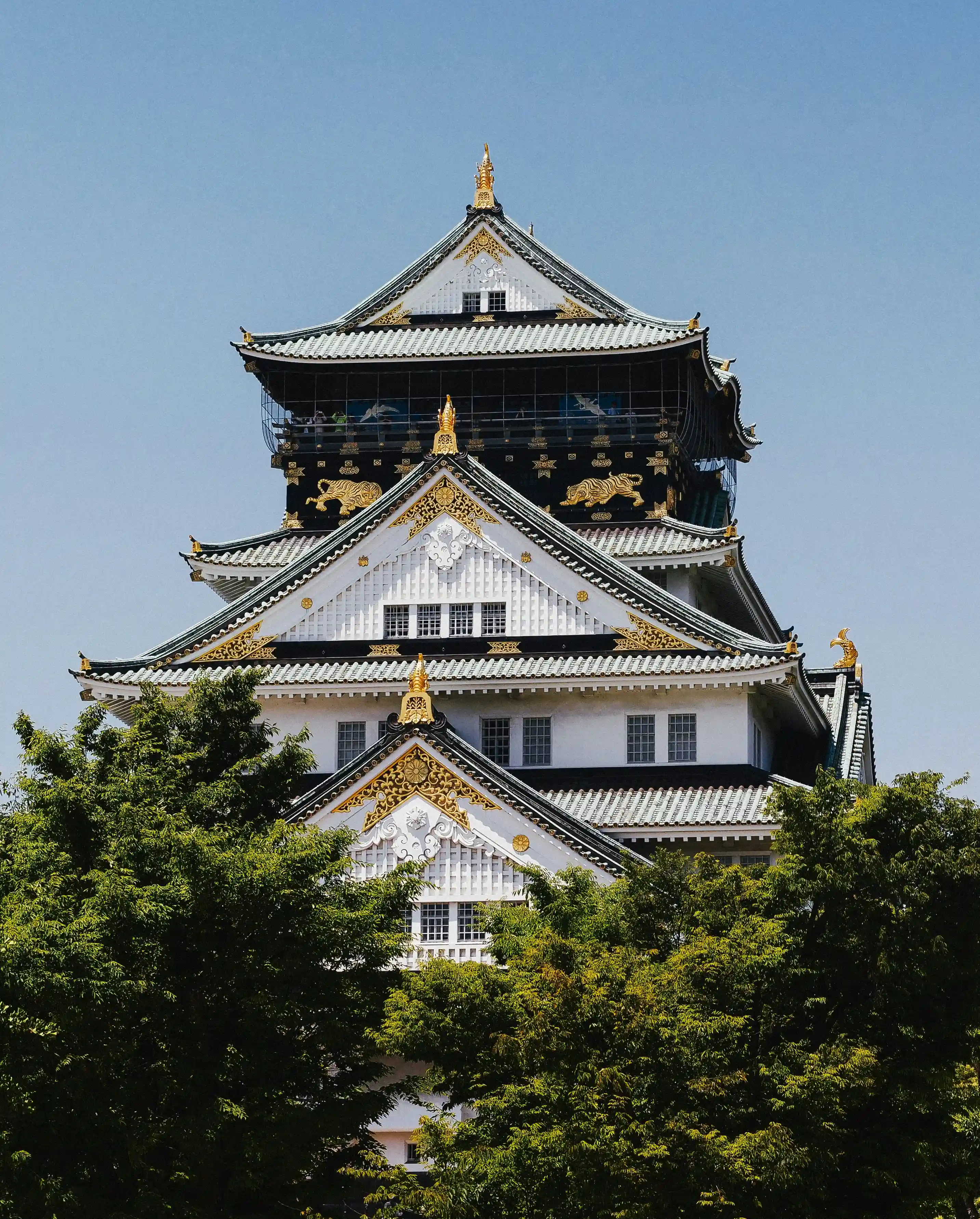 Osaka Castle Historical Walking Tour