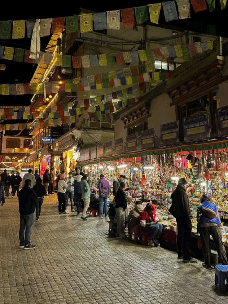 Arrive Leh — Acclimatisation