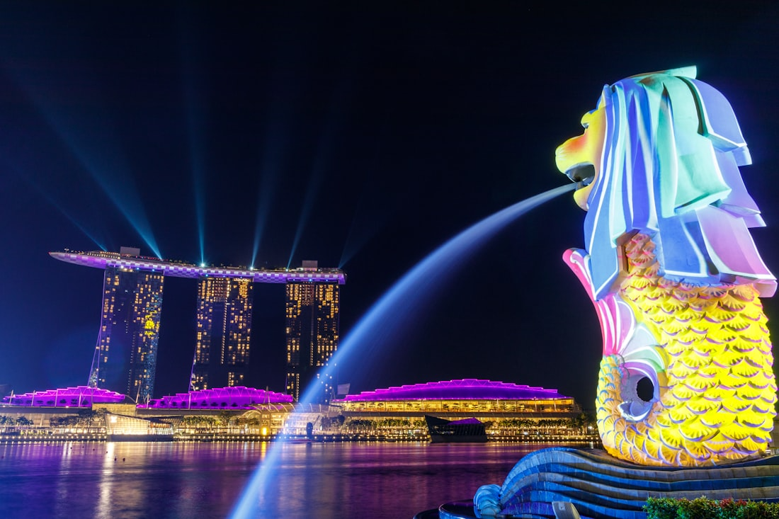 Singapore Arrival
