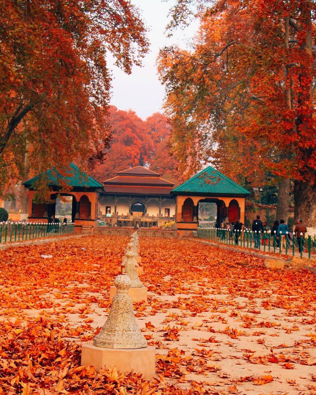 Srinagar Local Sightseeing