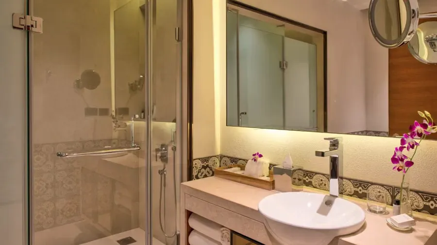 Deluxe Room Twin photo 3