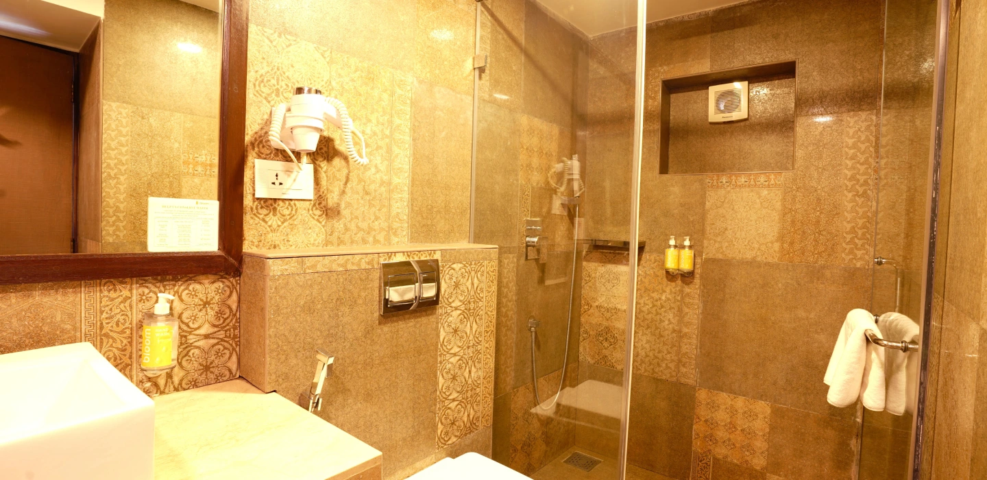 Deluxe Suite Room photo 4