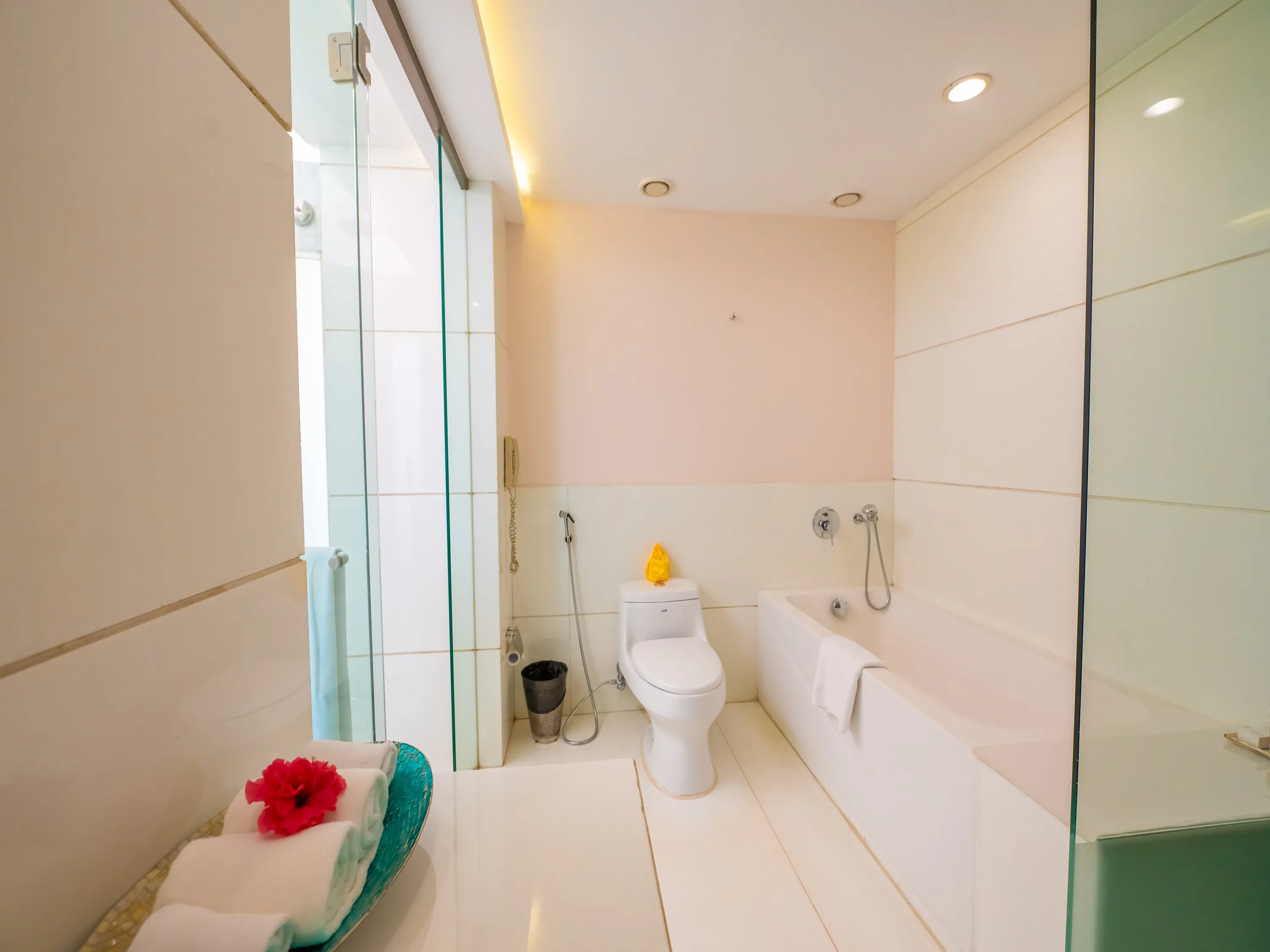 Presidential Suite with Private Pool photo 8