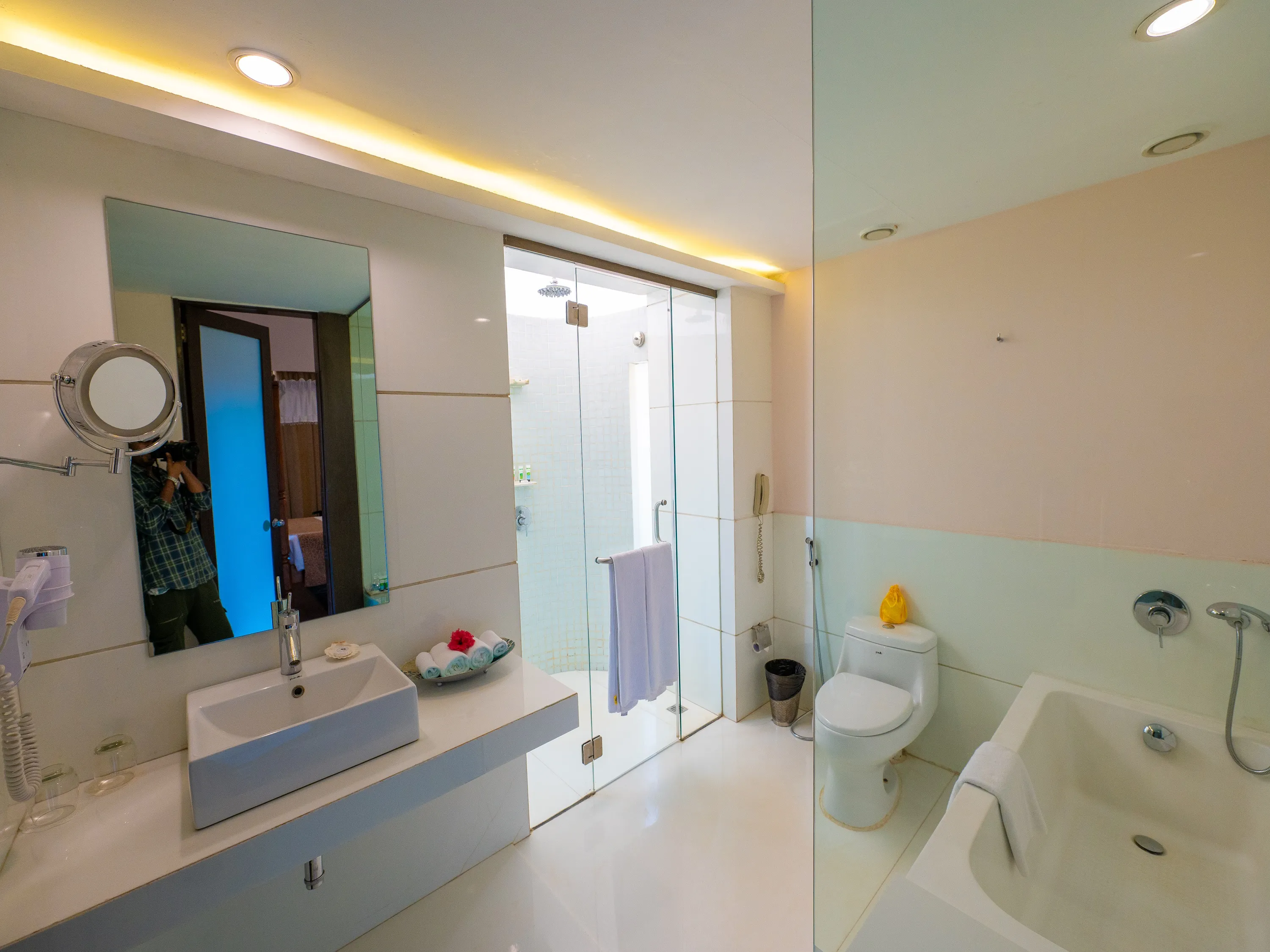 Presidential Suite with Private Pool photo 9
