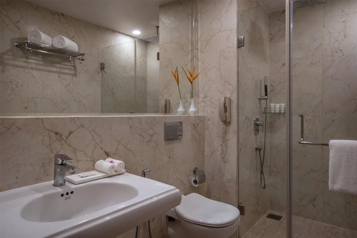 Deluxe Room photo 3