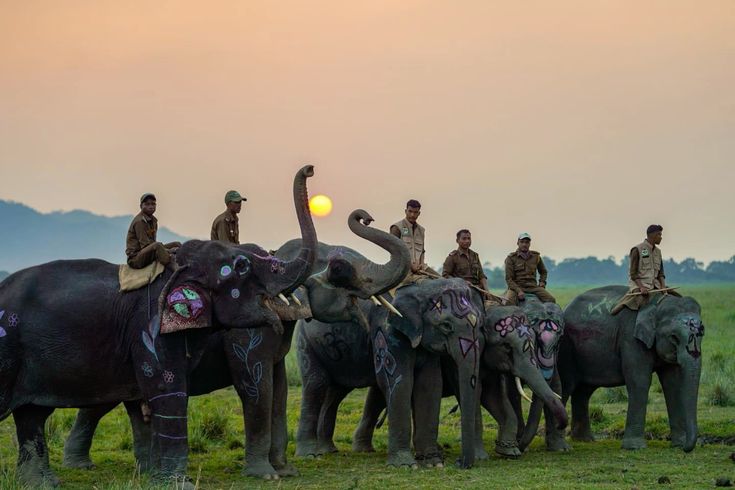 Assam — Kaziranga travel inspiration