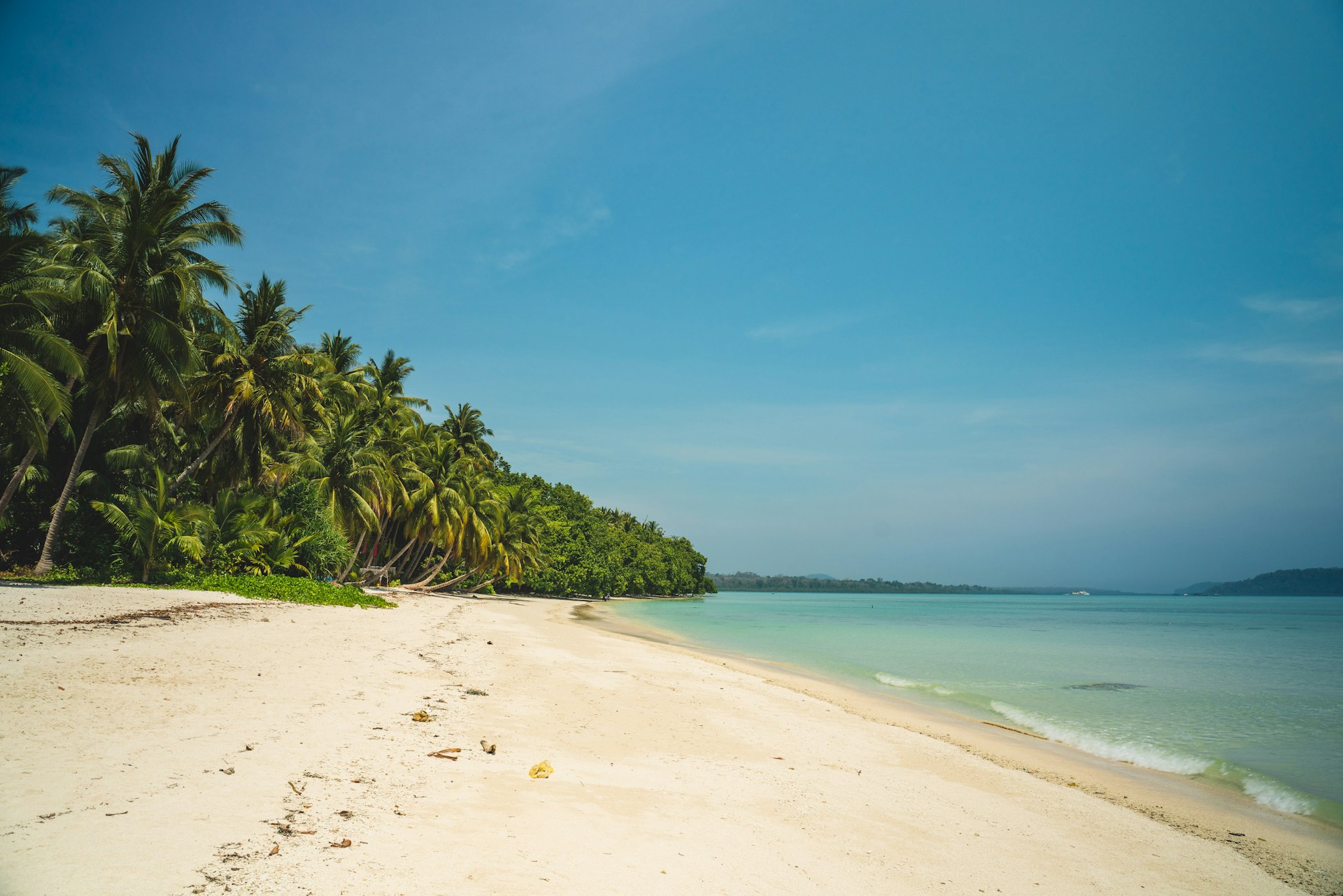 Beach