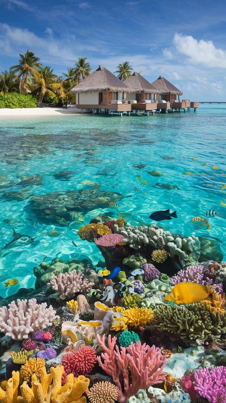 Maldives travel inspiration