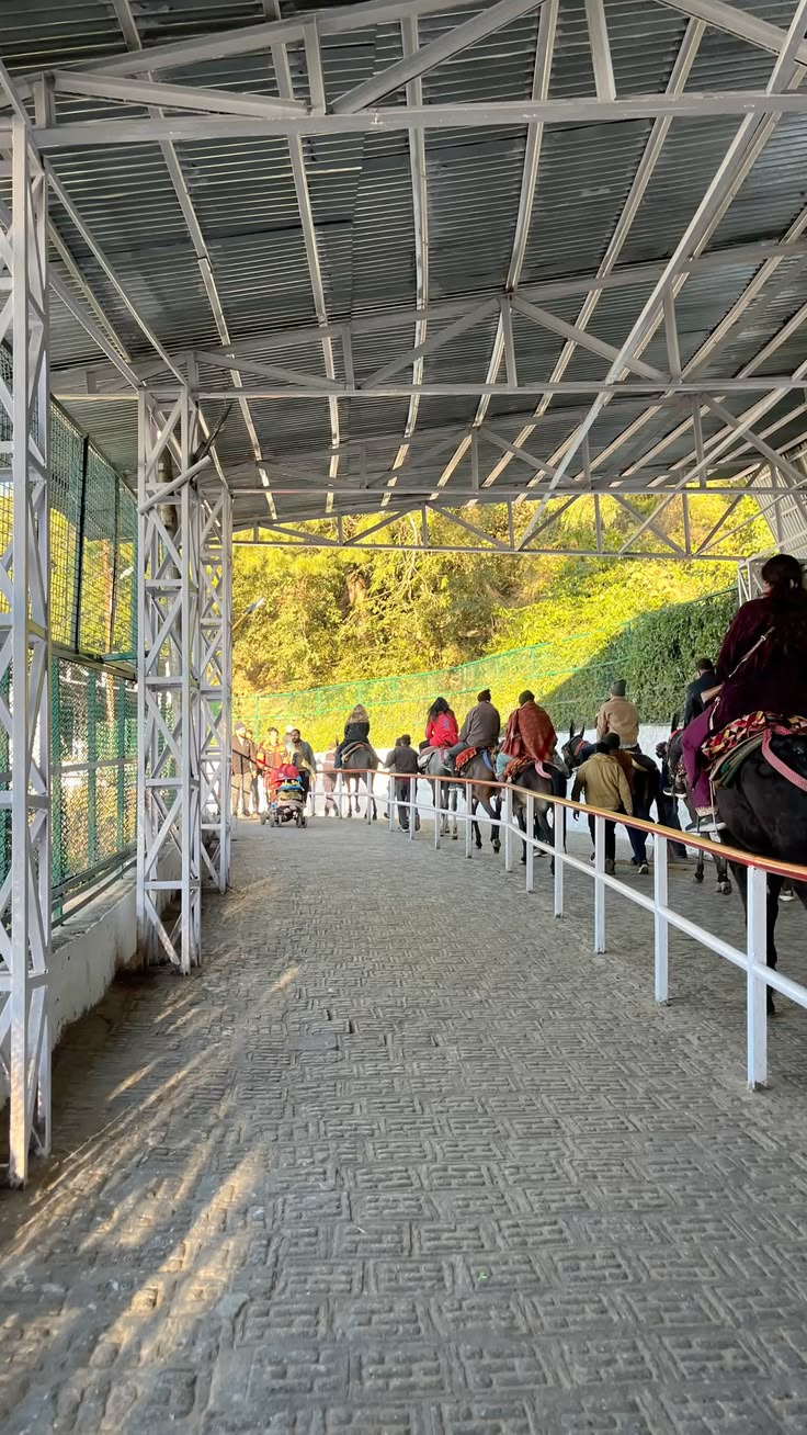 Vaishno Devi sacred journey