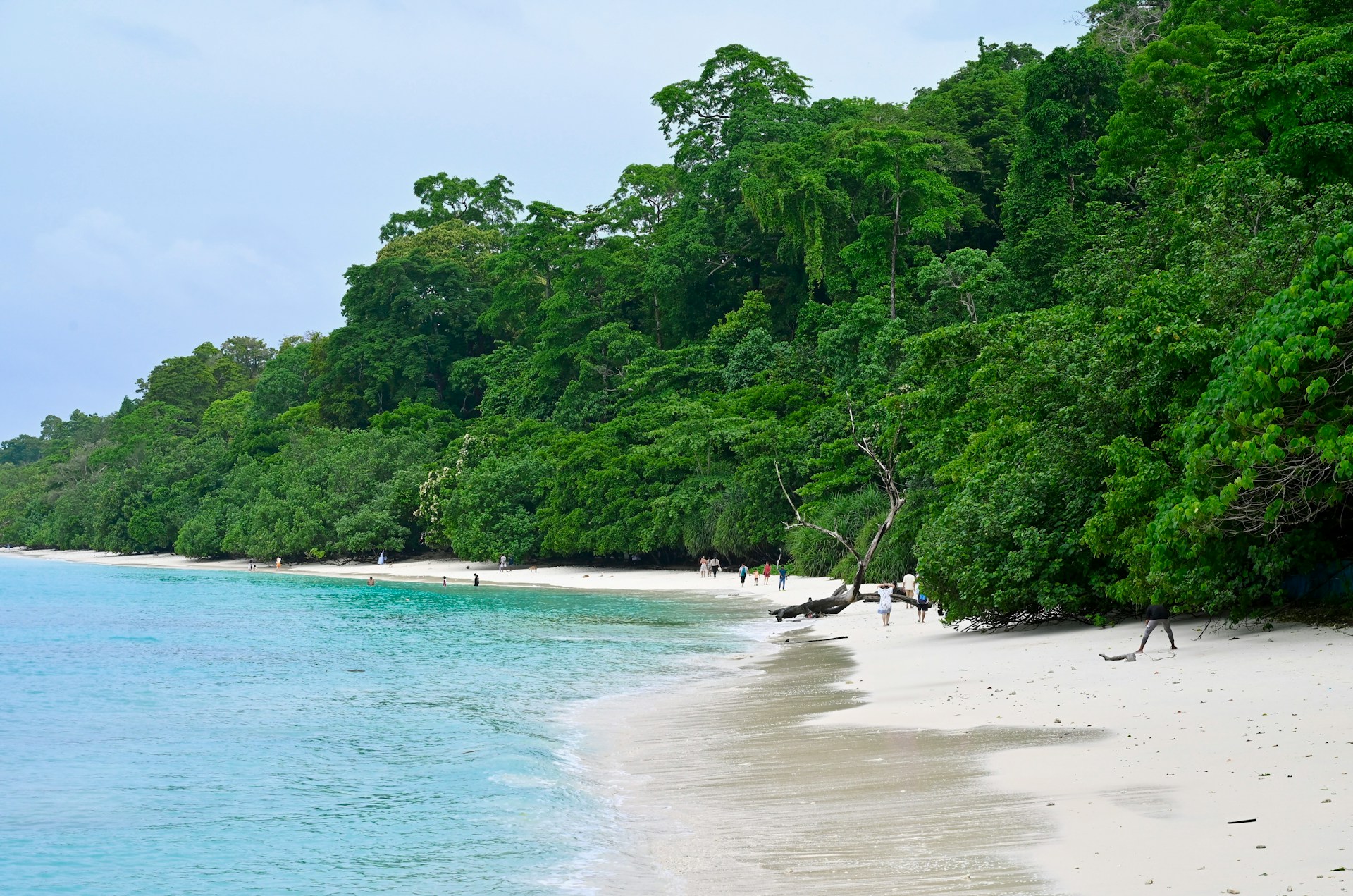 Andaman Diving