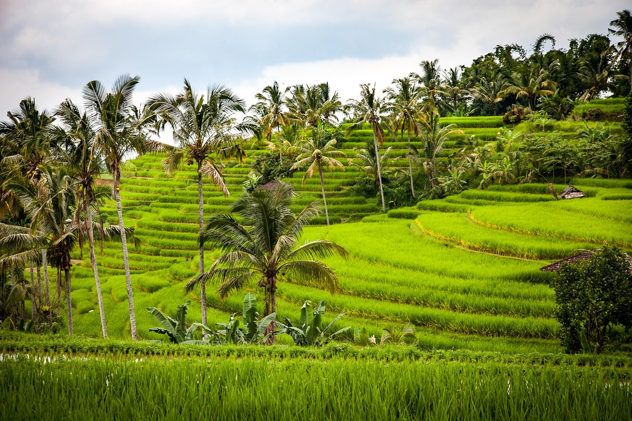 Bali travel inspiration