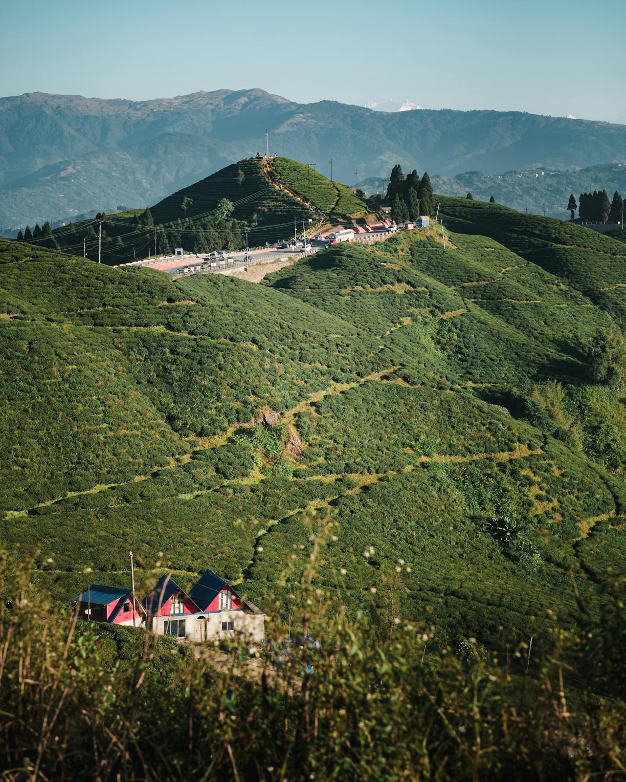 Sikkim & Darjeeling travel inspiration