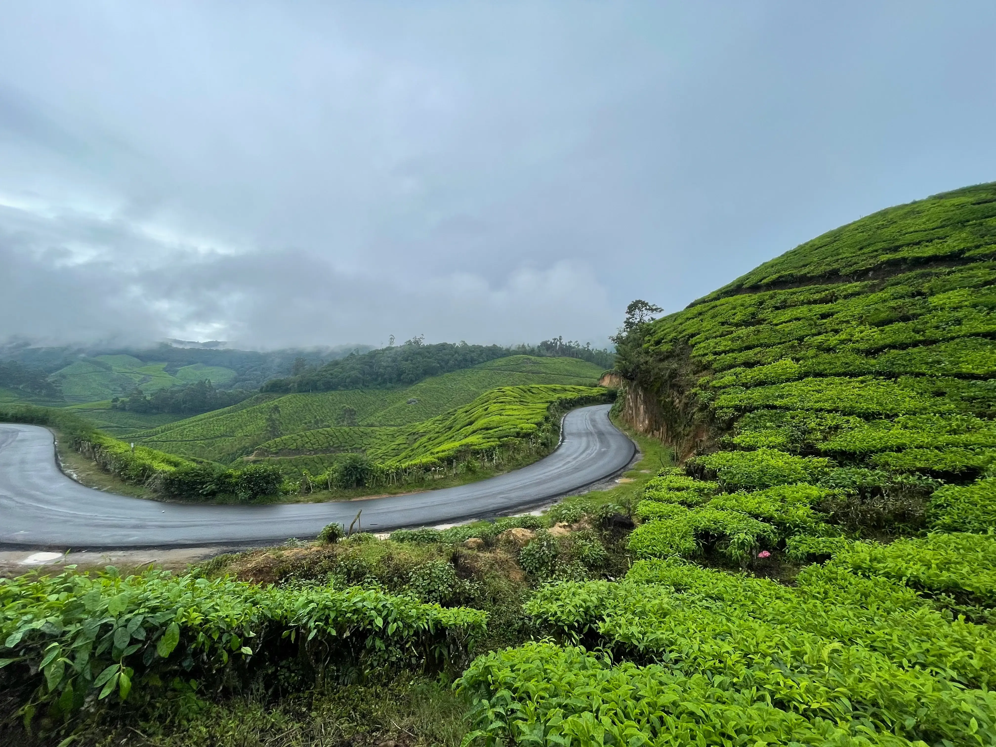 Munnar — Cochin Departure