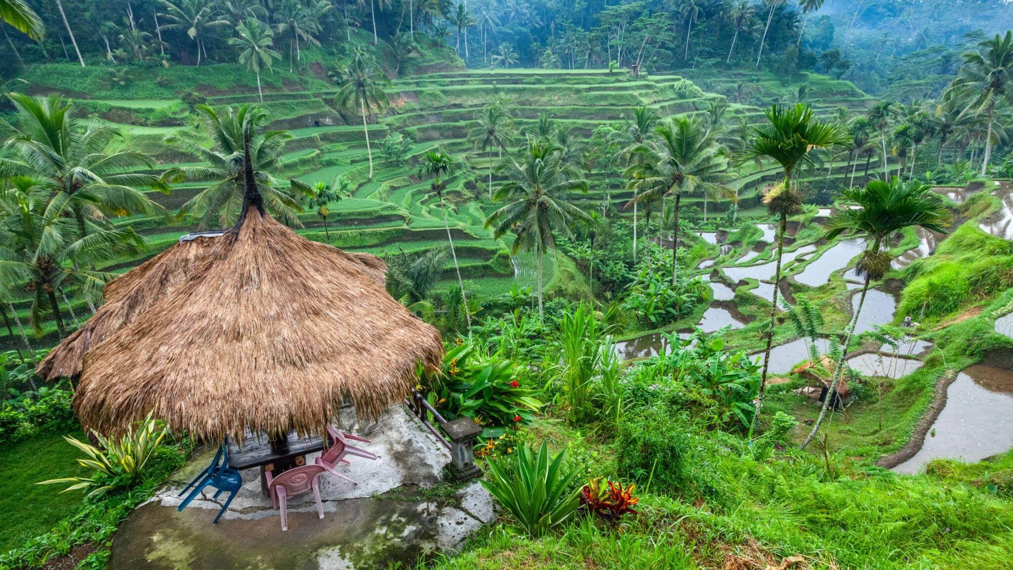 East Penida Tour — Transfer to Ubud