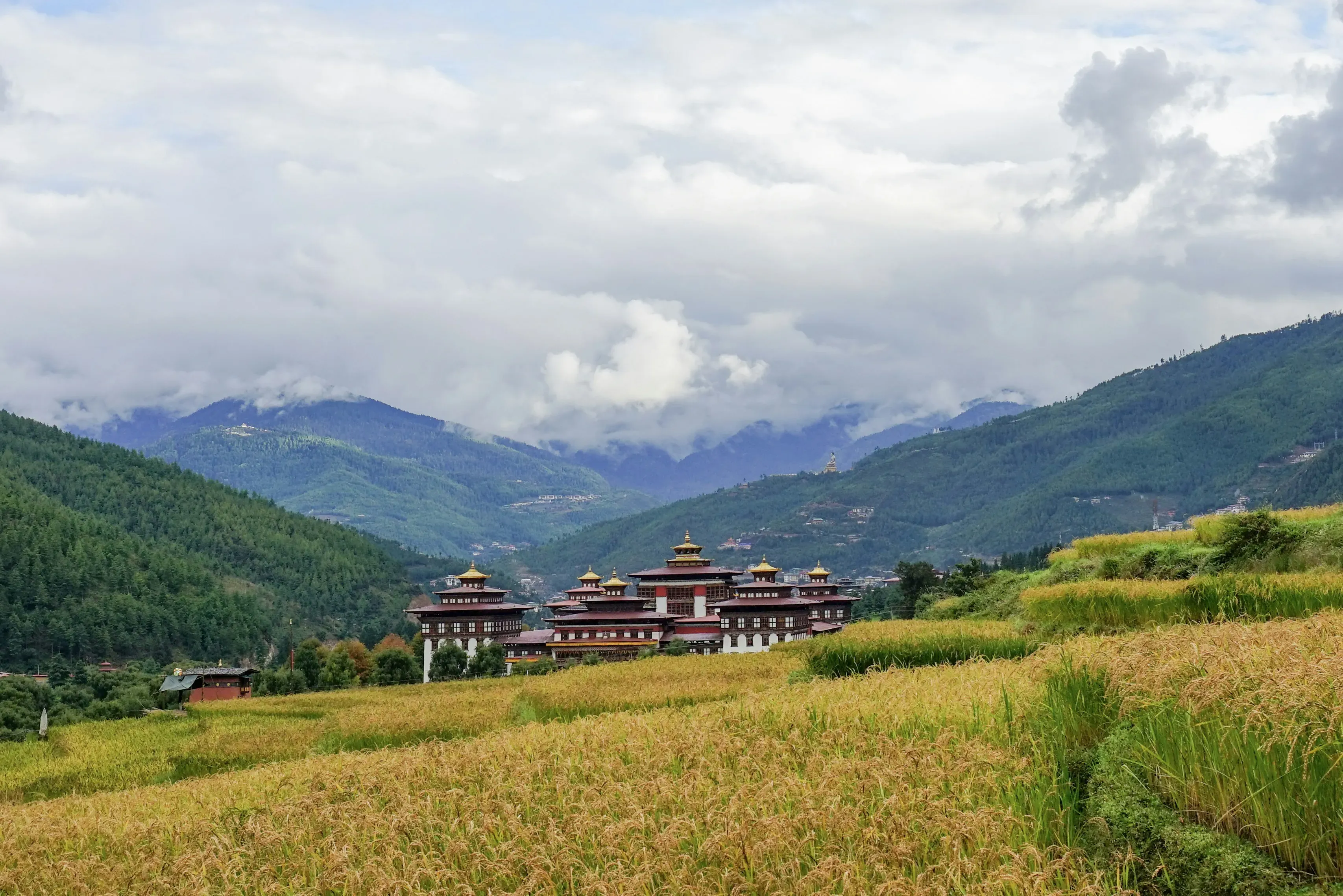 Thimphu Sightseeing