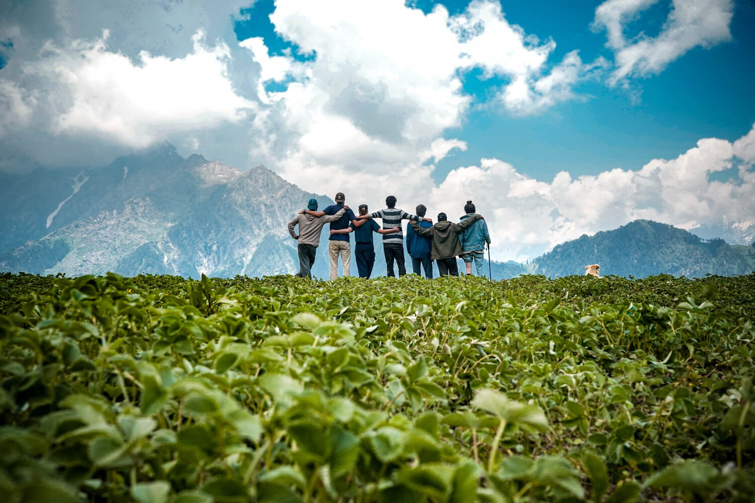 How to plan an incentive trip your team will love