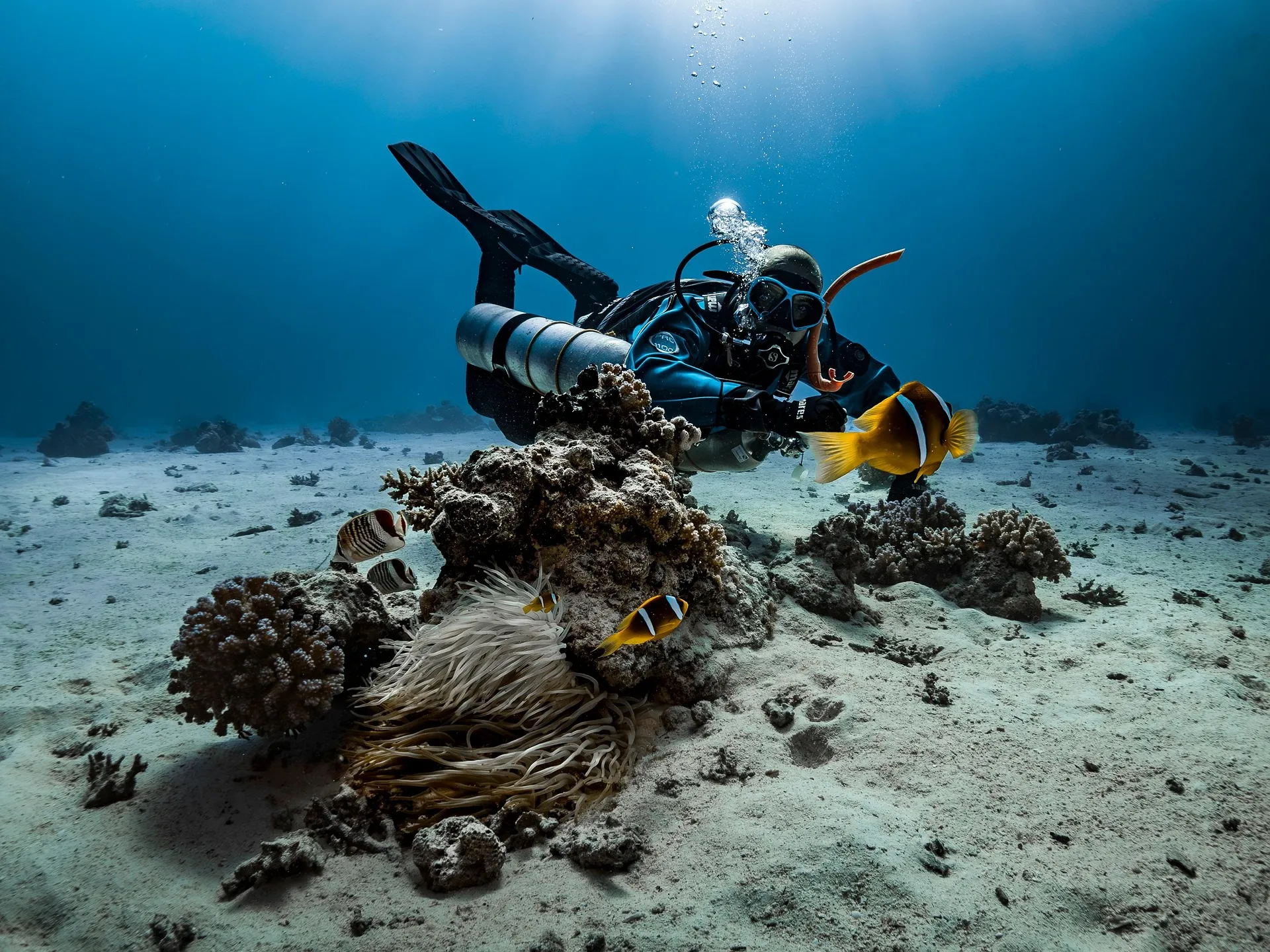 Andaman Scuba Diving