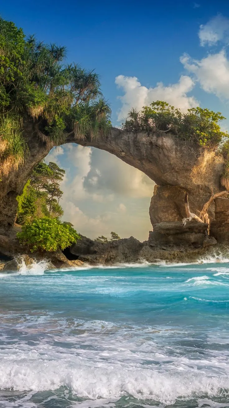 Andaman Scuba Diving