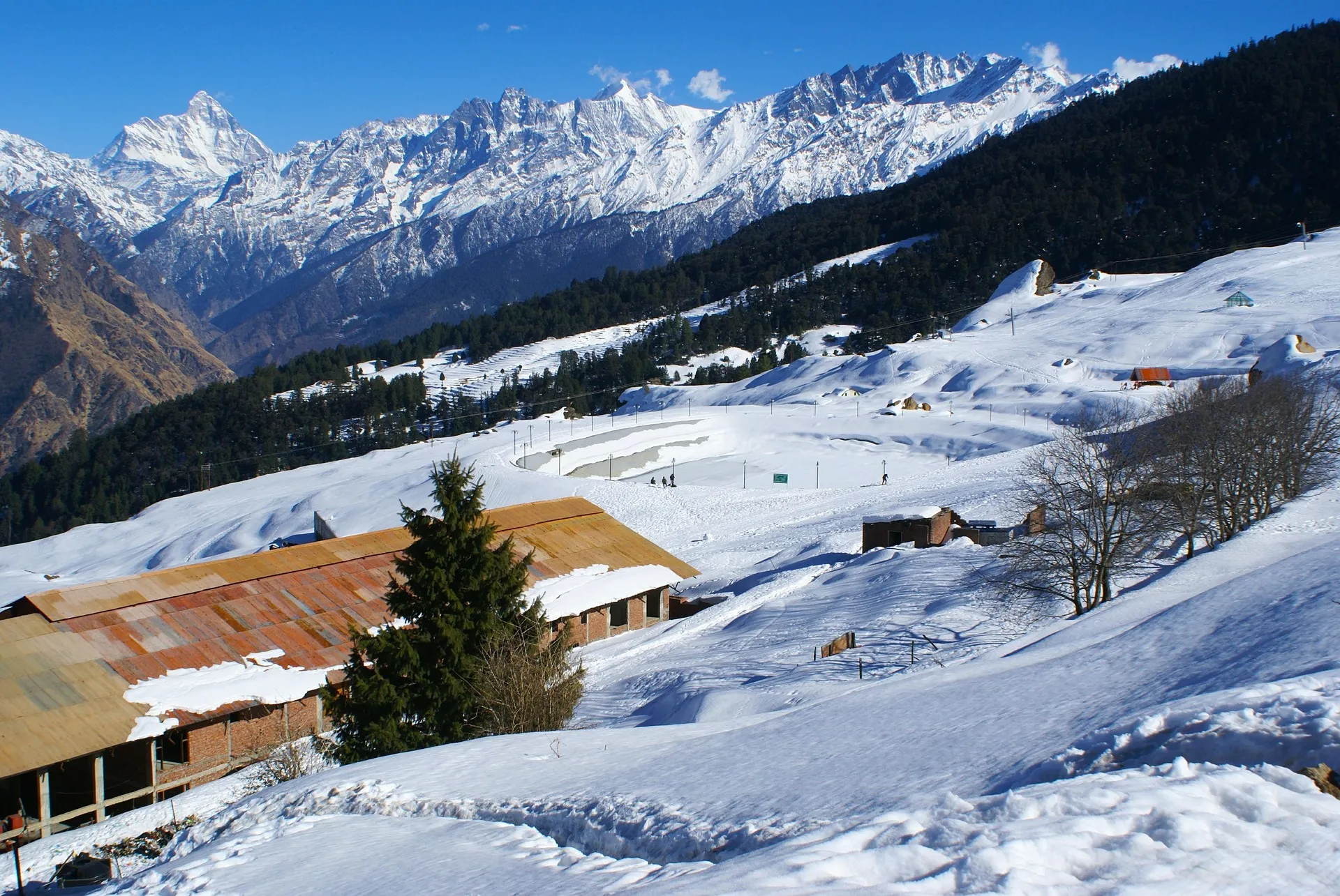Auli Skiing