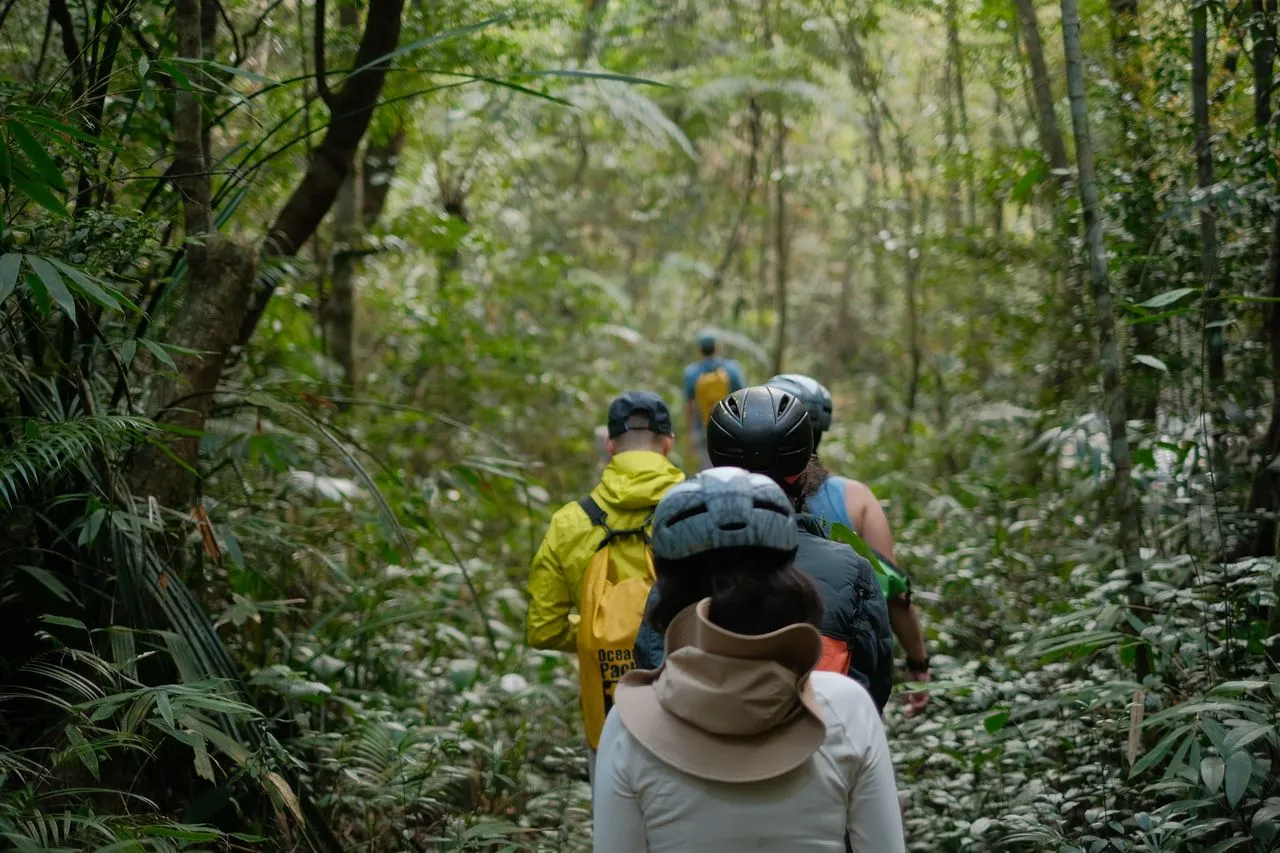 Coorg Trekking