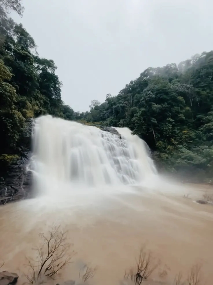 Coorg Trekking