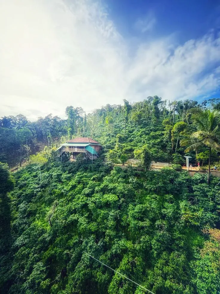 Coorg Trekking