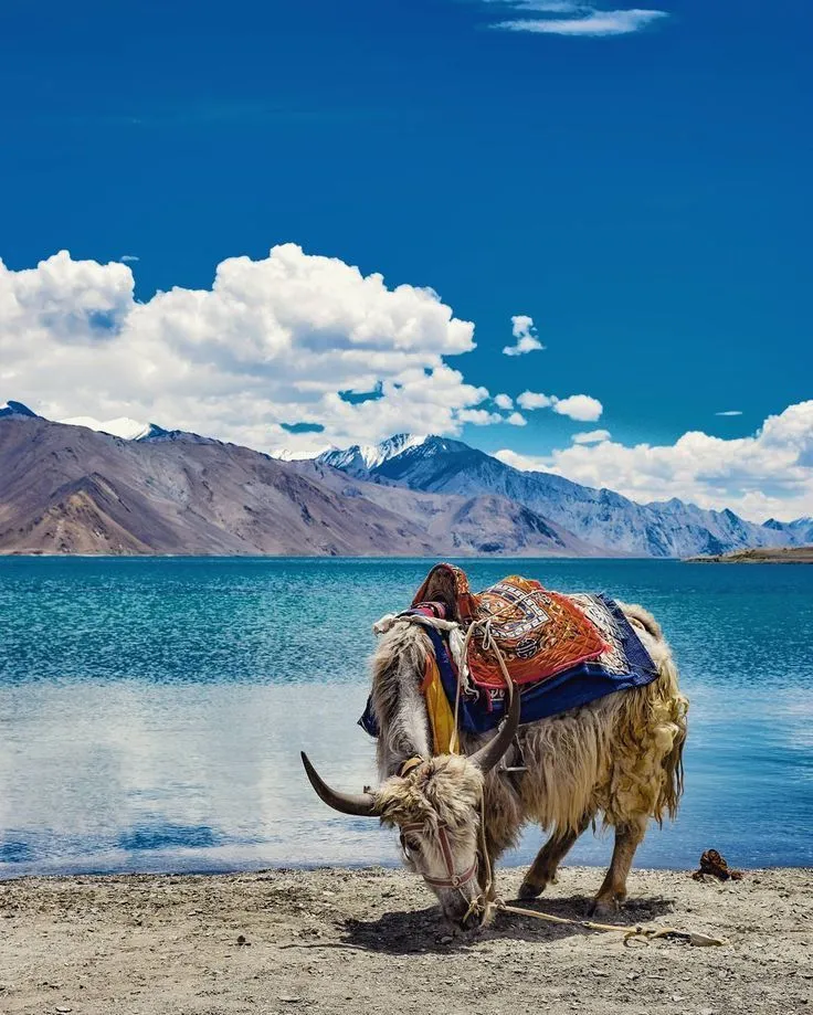 Leh Ladakh Adventure