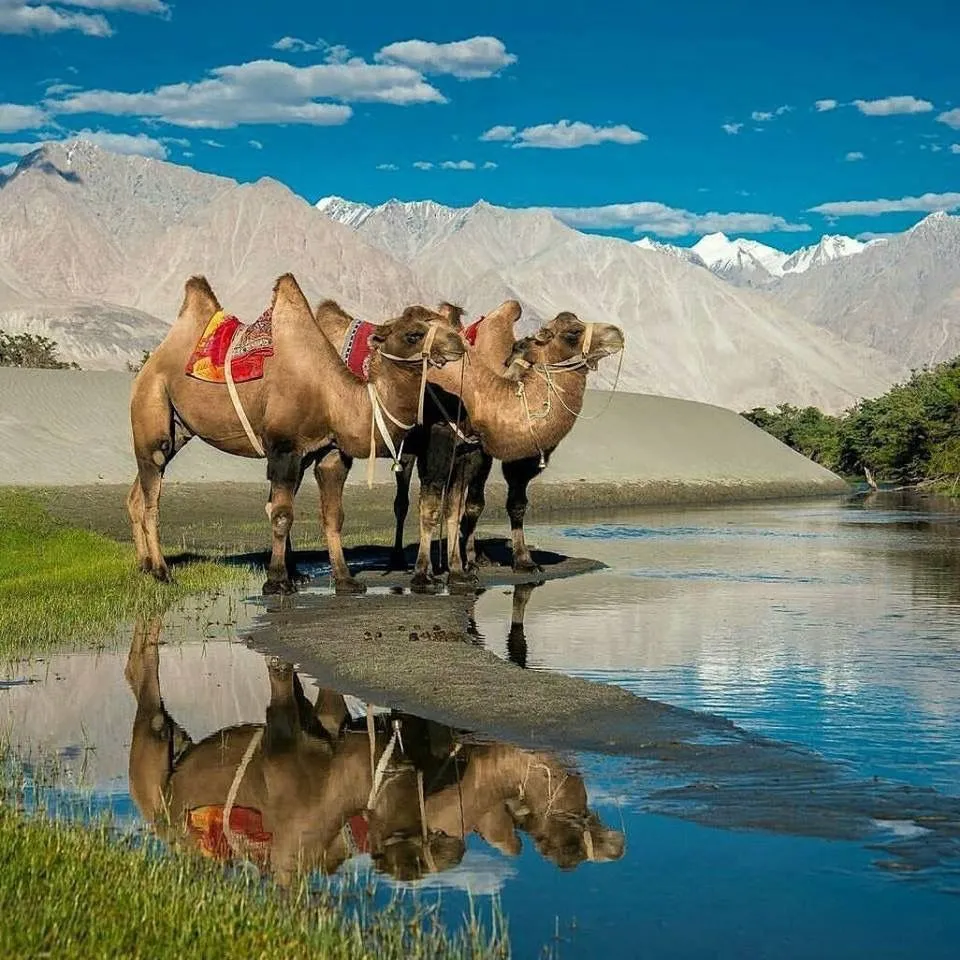 Leh Ladakh Adventure