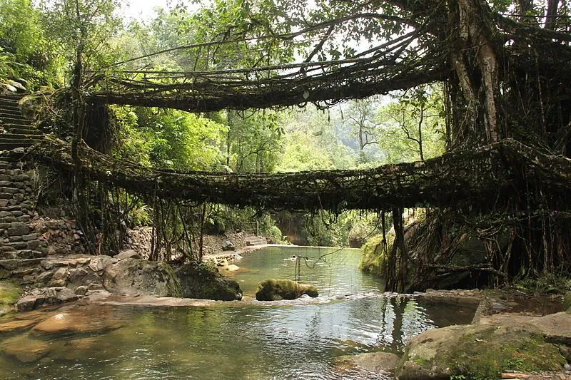Meghalaya Caving