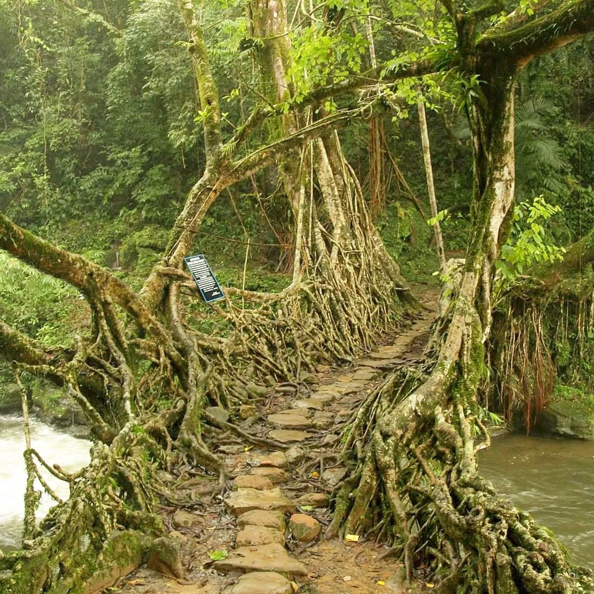 Meghalaya Caving