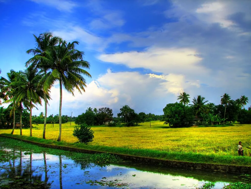 Kuttanad