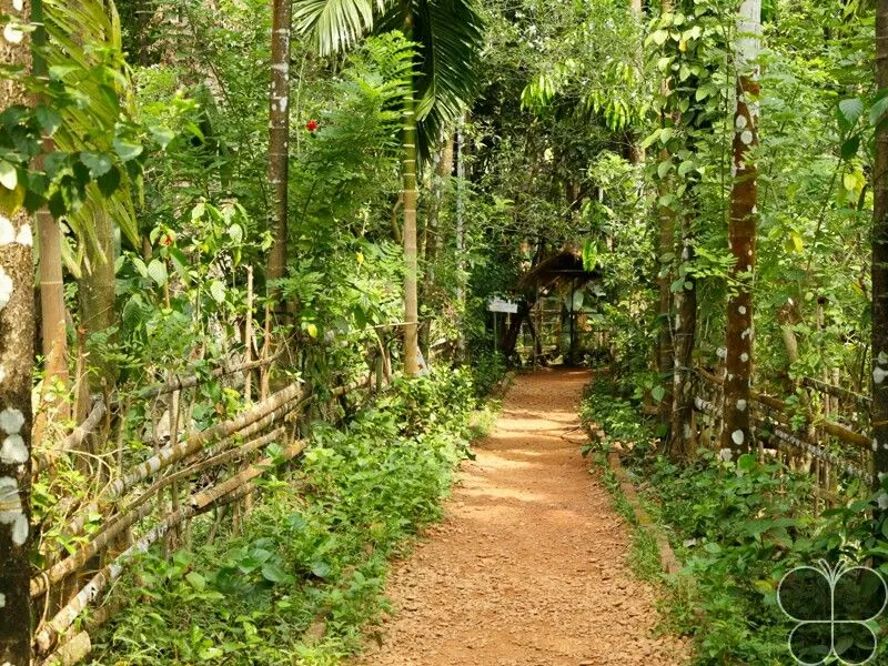 Goa