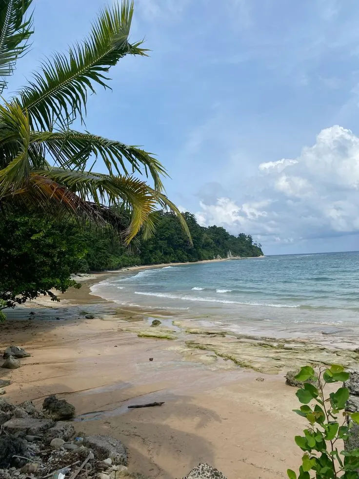 Neil Island