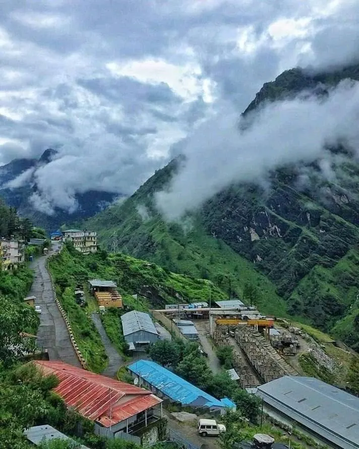 Auli