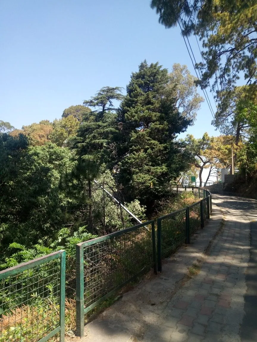 Kasauli