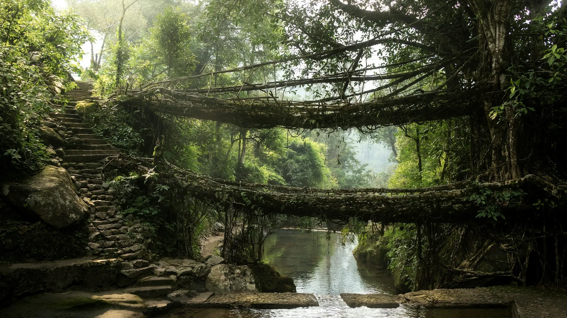 Meghalaya