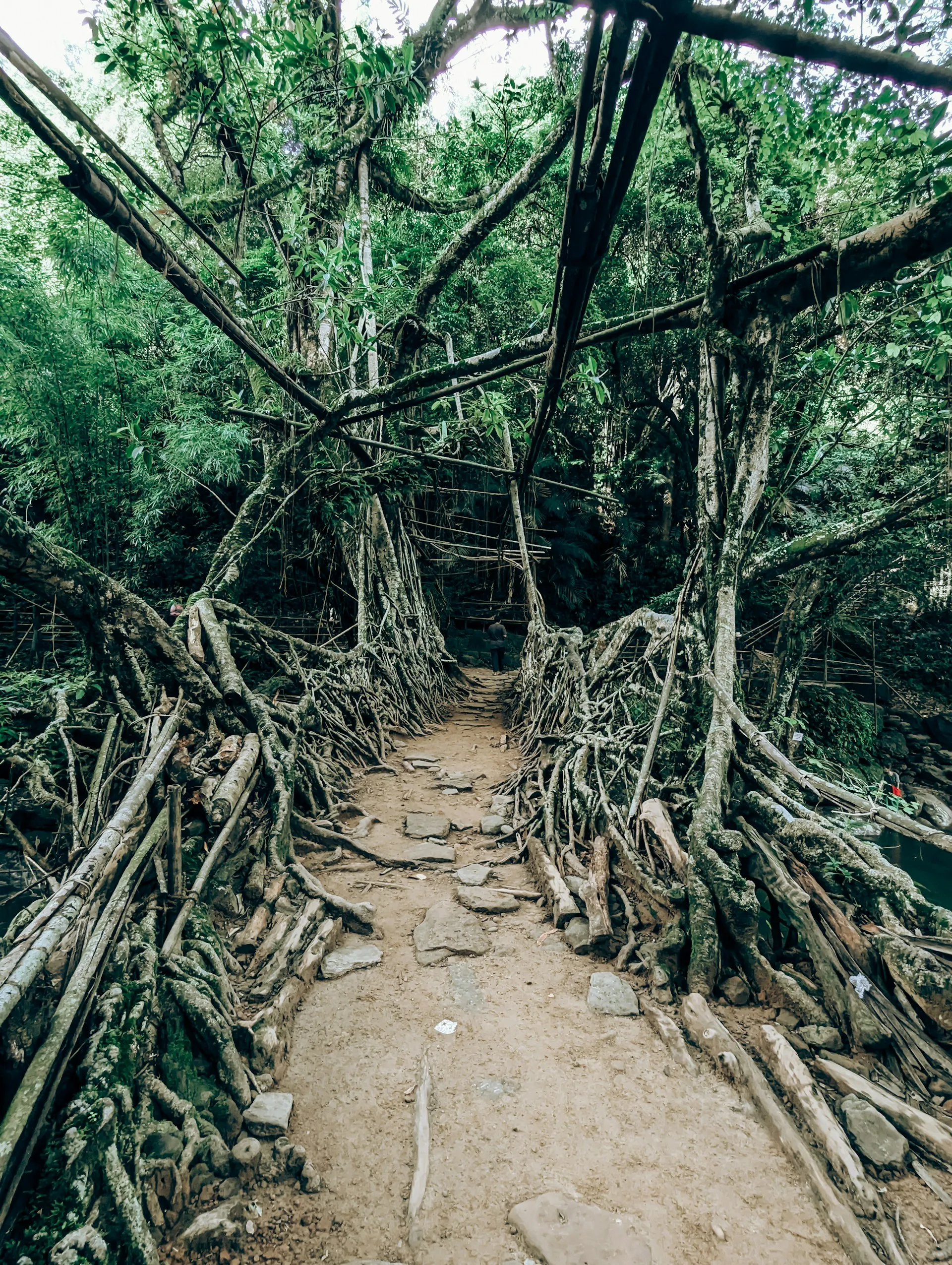 Meghalaya