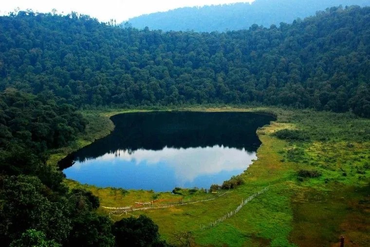Pelling