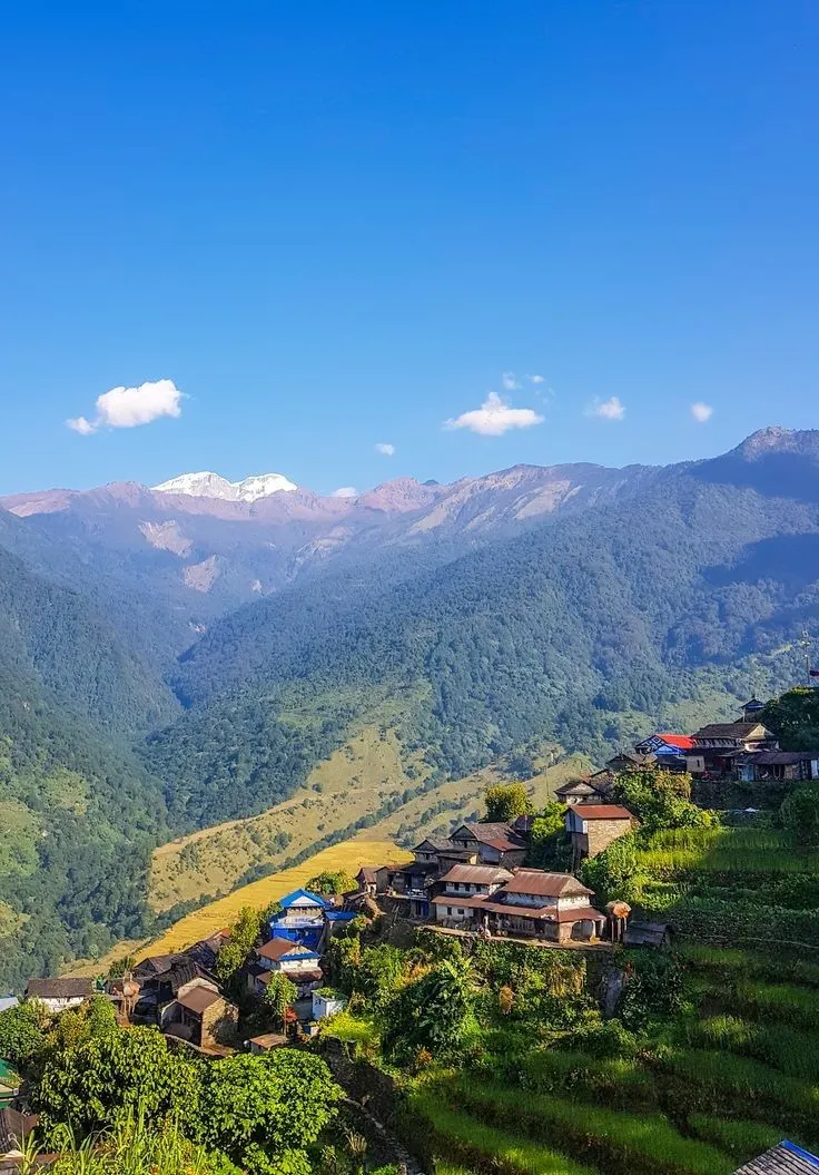 Pelling