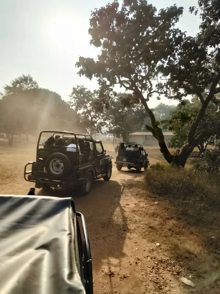 Gir National Park