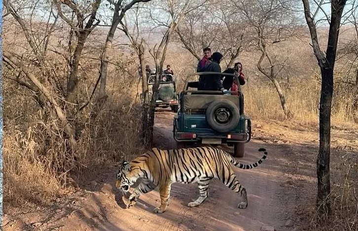 Jim Corbett