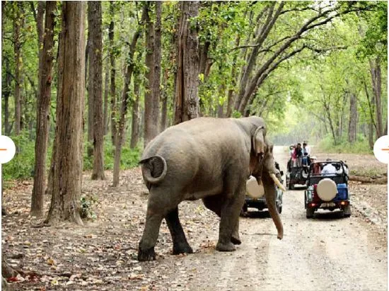 Jim Corbett