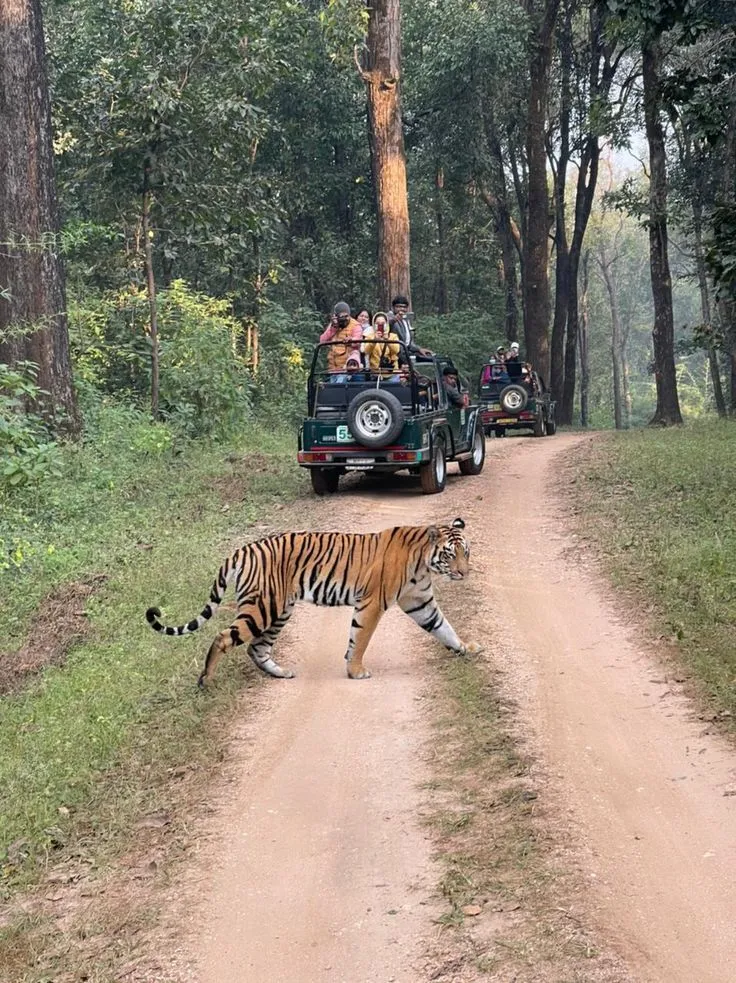 Kanha